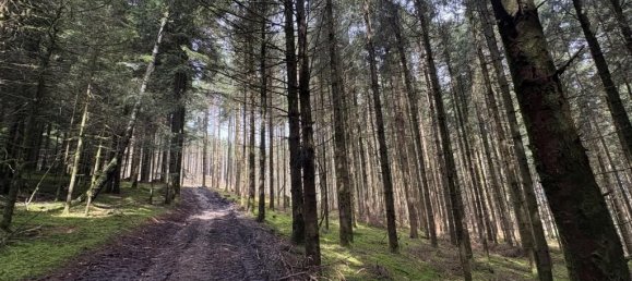 Земельный участок в Гуртен, Австрия № 193595 4