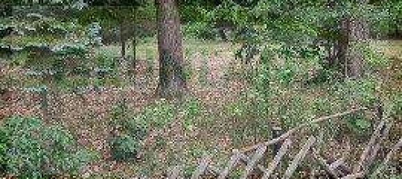 Grundstück in Potsdam-Mittelmark, Germany 2487m², Nr. 17409 2