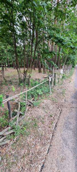 Grundstück in Potsdam-Mittelmark, Germany 2487m², Nr. 17409