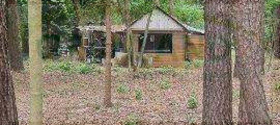 Grundstück in Potsdam-Mittelmark, Germany 2487m², Nr. 17409 4