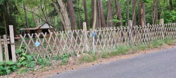 Grundstück in Potsdam-Mittelmark, Germany 2487m², Nr. 17409 5