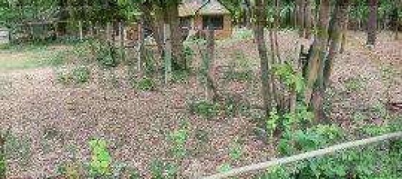 Grundstück in Potsdam-Mittelmark, Germany 2487m², Nr. 17409 3