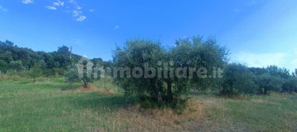 32000m² Land in Volterra, Italy No. 349300 4