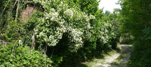 7 rooms House in Rivalba, Italy No. 61893 13