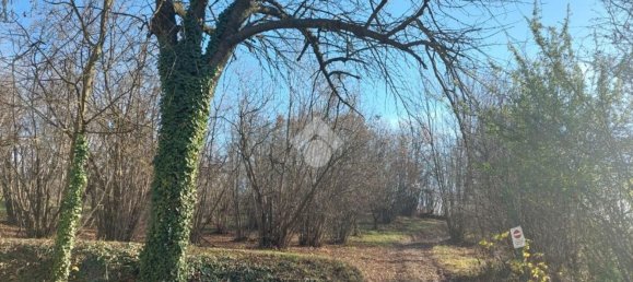 7 rooms House in Rivalba, Italy No. 61893 14