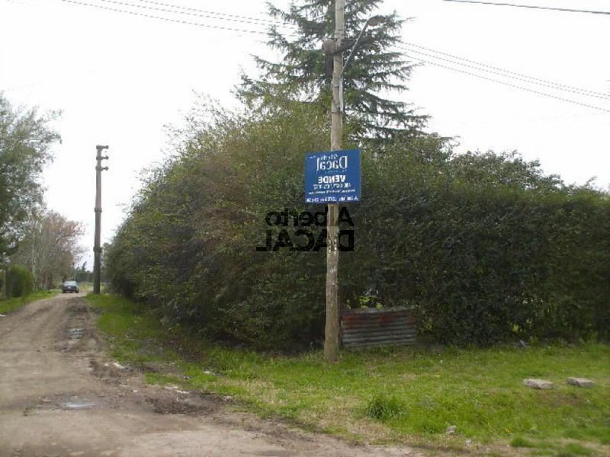  Land in Campo Creado, Argentina No. 38774