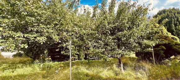 2 bedrooms House in Baden-Wurttemberg, Germany No. 2892 10