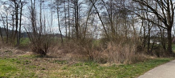 21582m² Land in Altheim, Austria No. 167260 2