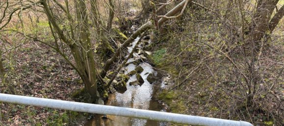 21582m² Land in Altheim, Austria No. 167260 4