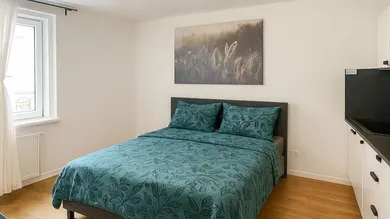 Studio in Rudolfsheim-Funfhaus, Austria No. 209440