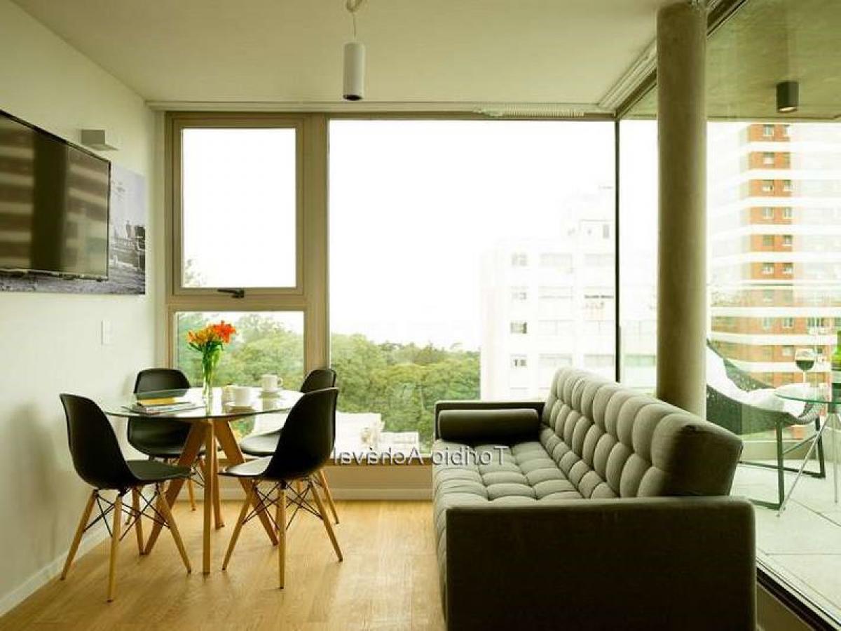 Studio in Montevideo, Uruguay No. 12926