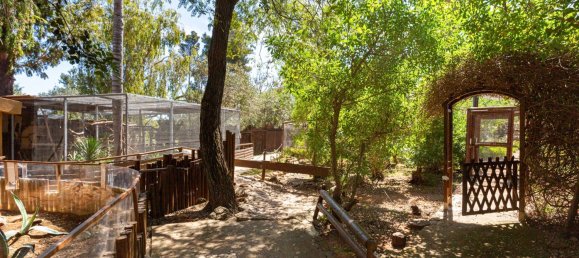 Terreno T12 em Silves, Portugal N.º 144231 20