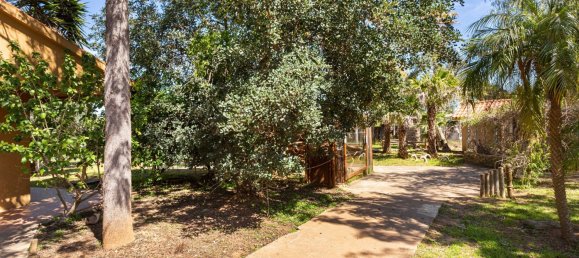 Terreno T12 em Silves, Portugal N.º 144231 17