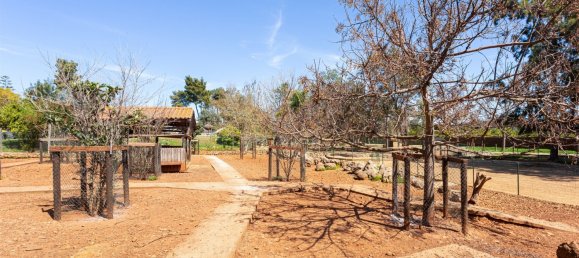 Terreno T12 em Silves, Portugal N.º 144231 26