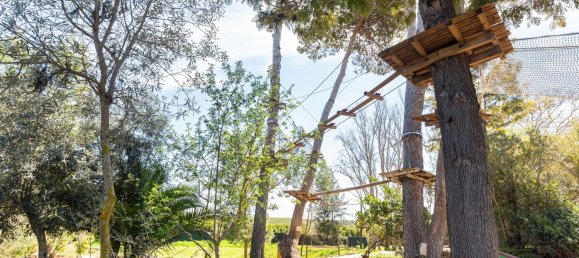 Terreno T12 em Silves, Portugal N.º 144231 11