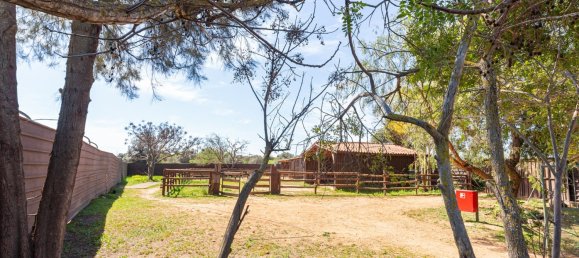 Terreno T12 em Silves, Portugal N.º 144231 14