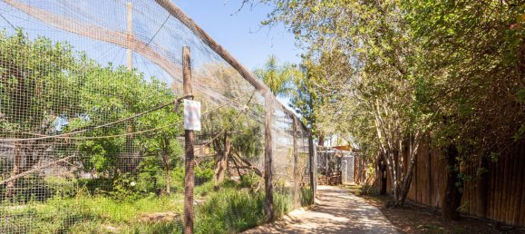 Terreno T12 em Silves, Portugal N.º 144231 27