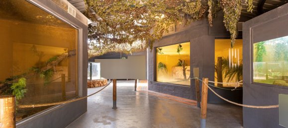 Terreno T12 em Silves, Portugal N.º 144231 16