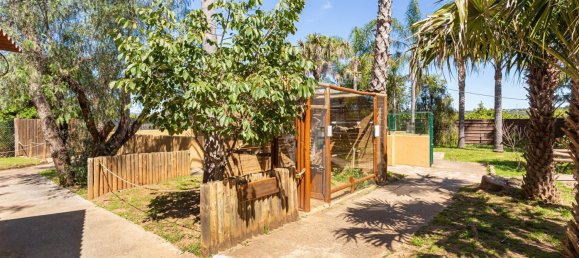 Terreno T12 em Silves, Portugal N.º 144231 18