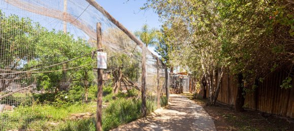 Terreno T12 em Silves, Portugal N.º 144231 15