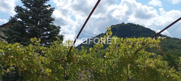 1 غرف نوم منزل في Salins-les-Bains, France رقم 332265 8