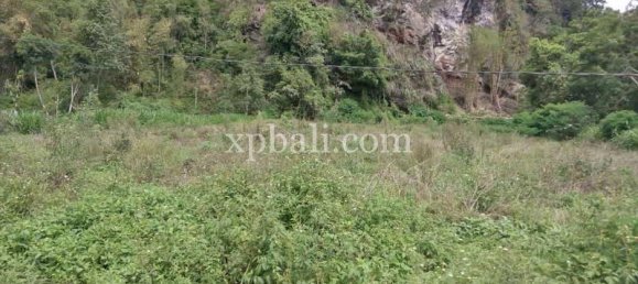Terrain à Kintamani, Indonesia 4200m² No. 3785 2