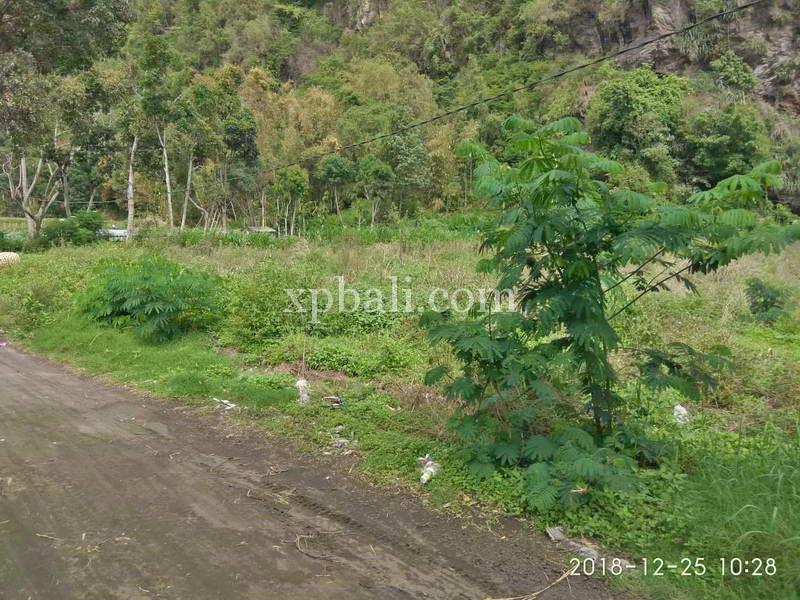 Terrain à Kintamani, Indonesia 4200m² No. 3785