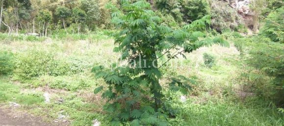 Terrain à Kintamani, Indonesia 4200m² No. 3785 3