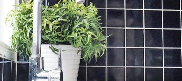 3 bedrooms Condo in Apus Pattaya, Thailand No. 28506 9