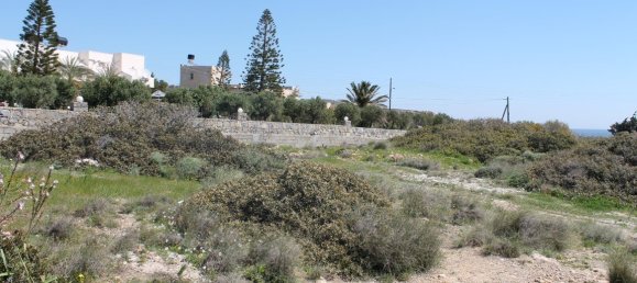  فندق في Ierapetra, Greece 4000متر مربع رقم 5060 7