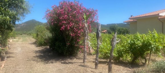 Grundstück in Sardinia, Italy 9000m², Nr. 255720 14