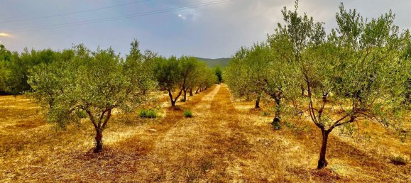 Grundstück in Sardinia, Italy 9000m², Nr. 255720 4