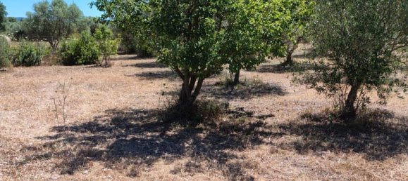 Grundstück in Sardinia, Italy 9000m², Nr. 255720 20