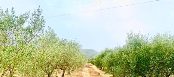 Grundstück in Sardinia, Italy 9000m², Nr. 255720 5