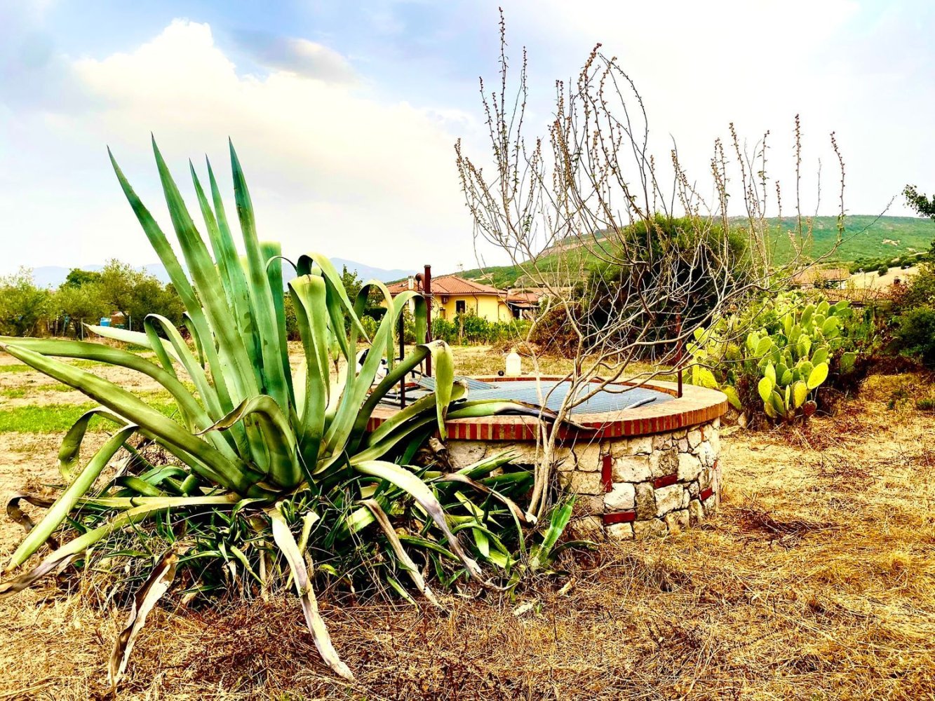 Grundstück in Sardinia, Italy 9000m², Nr. 255720