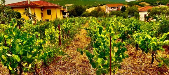 Grundstück in Sardinia, Italy 9000m², Nr. 255720 2