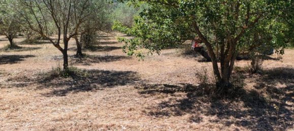 Grundstück in Sardinia, Italy 9000m², Nr. 255720 17