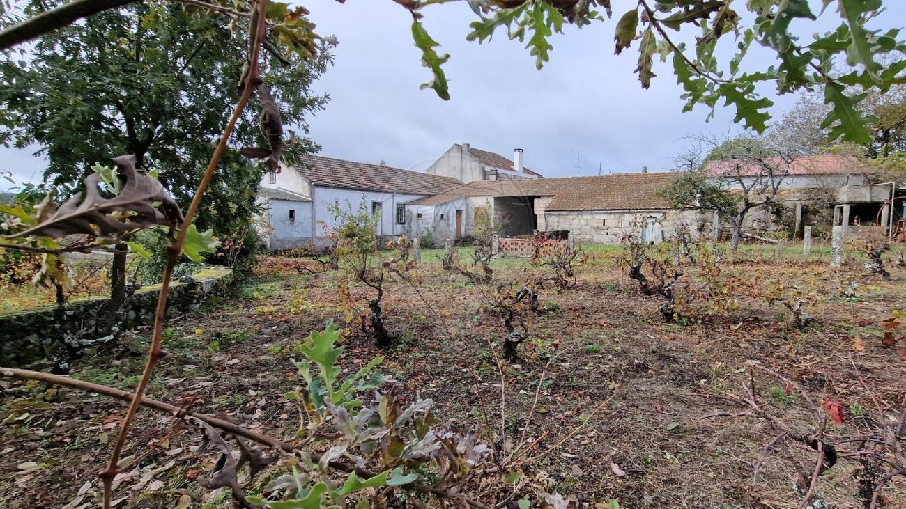 4 bedrooms House in Sabugal, Portugal No. 20358