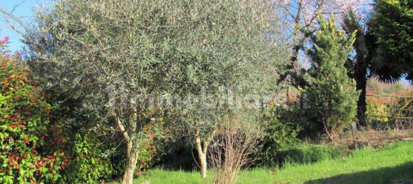 3 Schlafzimmer Villa in Golferenzo, Italy, Nr. 96469 15