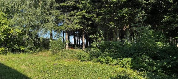 4غرفة منزل في Hochwolkersdorf, Austria رقم 254762 17