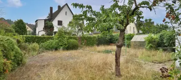 6-salle Maison de ville à Nuremberg, Germany No. 282203 4