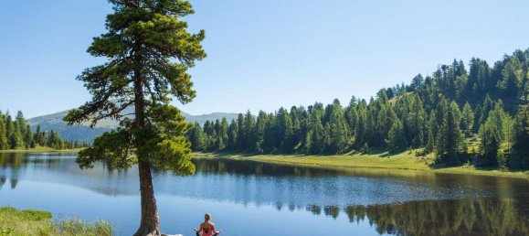 Terreno en Stadl-Predlitz, Austria No. 149051 5