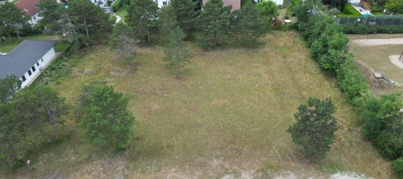 Terrain à Ganserndorf, Austria No. 130511 2