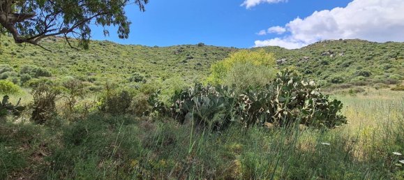 5 rooms House in Sardinia, Italy No. 250004 10