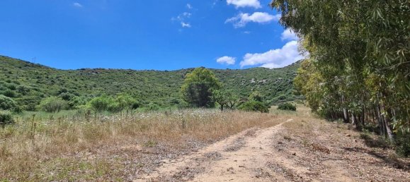 5 rooms House in Sardinia, Italy No. 250004 12