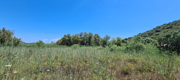 5 rooms House in Sardinia, Italy No. 250004 8