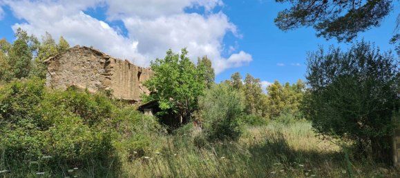 5 rooms House in Sardinia, Italy No. 250004 7