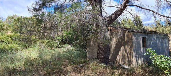 5 rooms House in Sardinia, Italy No. 250004 5