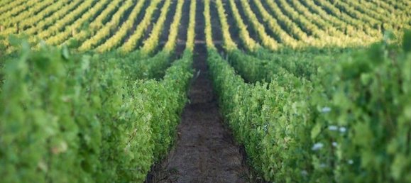 5 Schlafzimmer Wohnung in Gavorrano, Italy, Nr. 362492 3