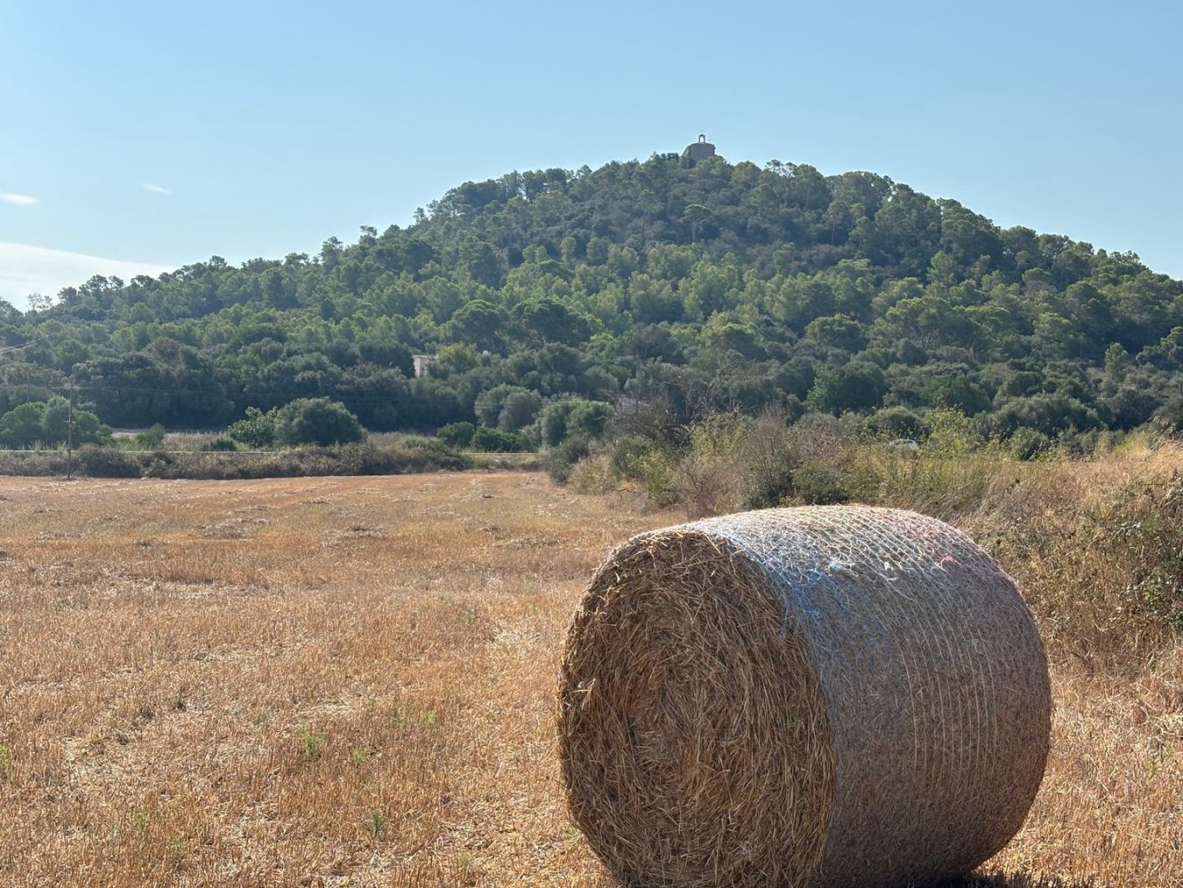 Terreno en Manacor, Spain No. 281768
